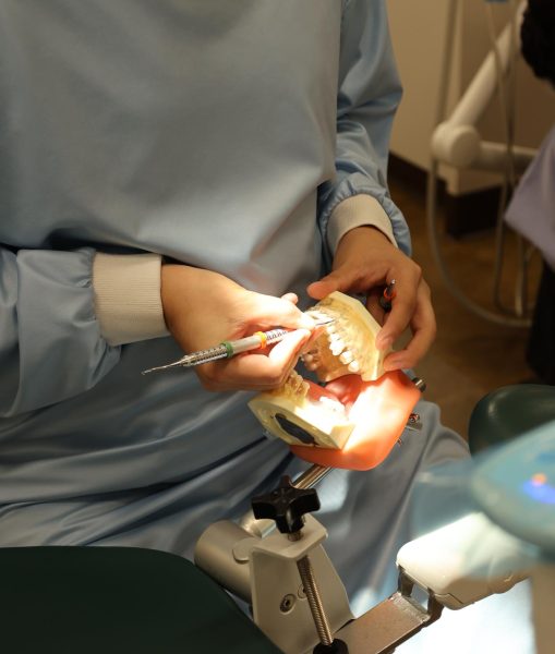 A dental hygiene student cleans a set of fake teeth on Nov. 22, 2023.