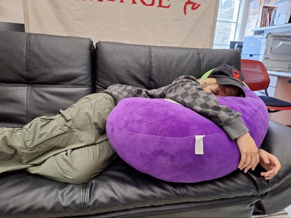 Opinion Editor Apollo Soto poses for a photo as a tired student on Feb. 5.